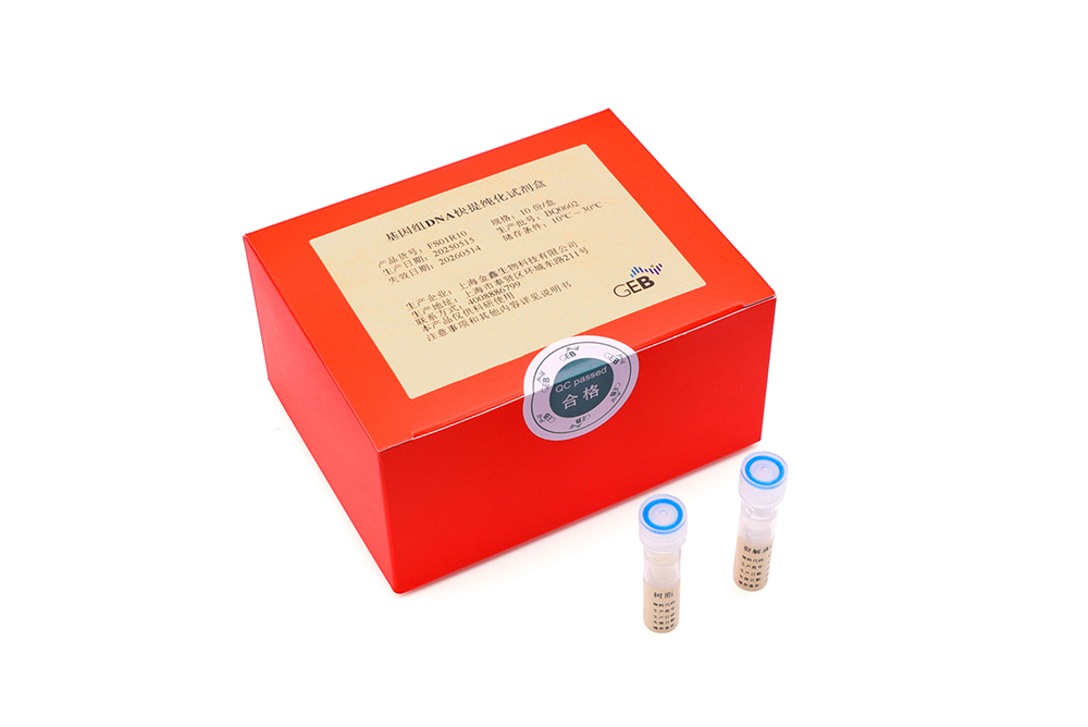 RRR genome DNA fast purification kit