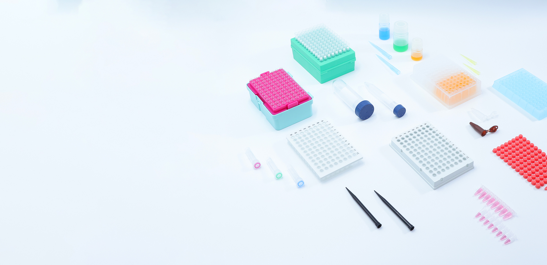 Universal Fit Pipette Tips