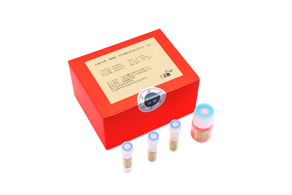 RRR stone wax embedding (FFPE) tissue nucleic acid rapid extraction reagent